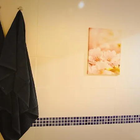 Apartamento Corral De La Alameda *